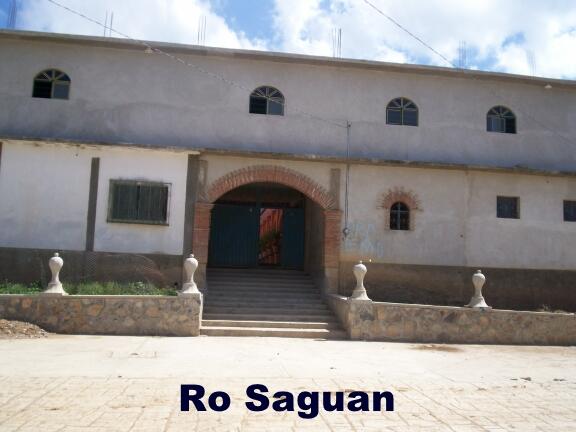 rosaguan